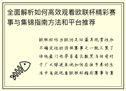 全面解析如何高效观看欧联杯精彩赛事与集锦指南方法和平台推荐